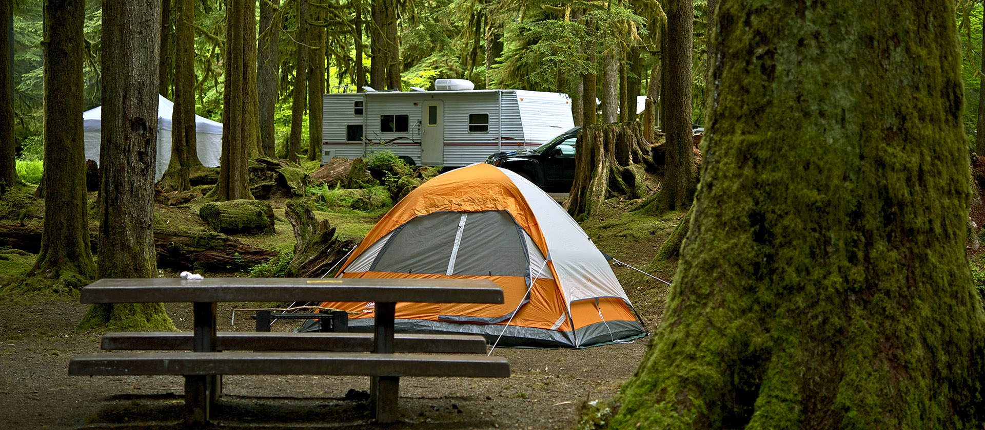 The Campground